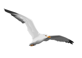 Морская скиталица