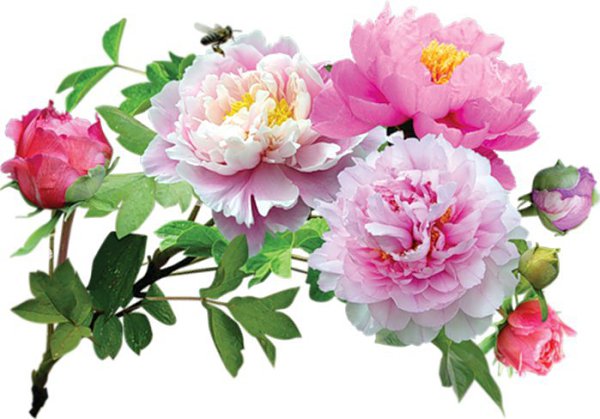 Берегите всё то, что с вами!