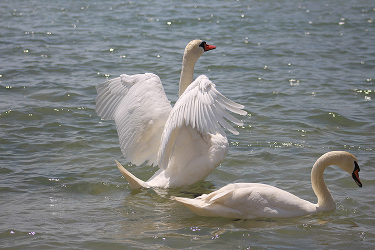 Живём в любви в сегодня и вечно будем жить!!