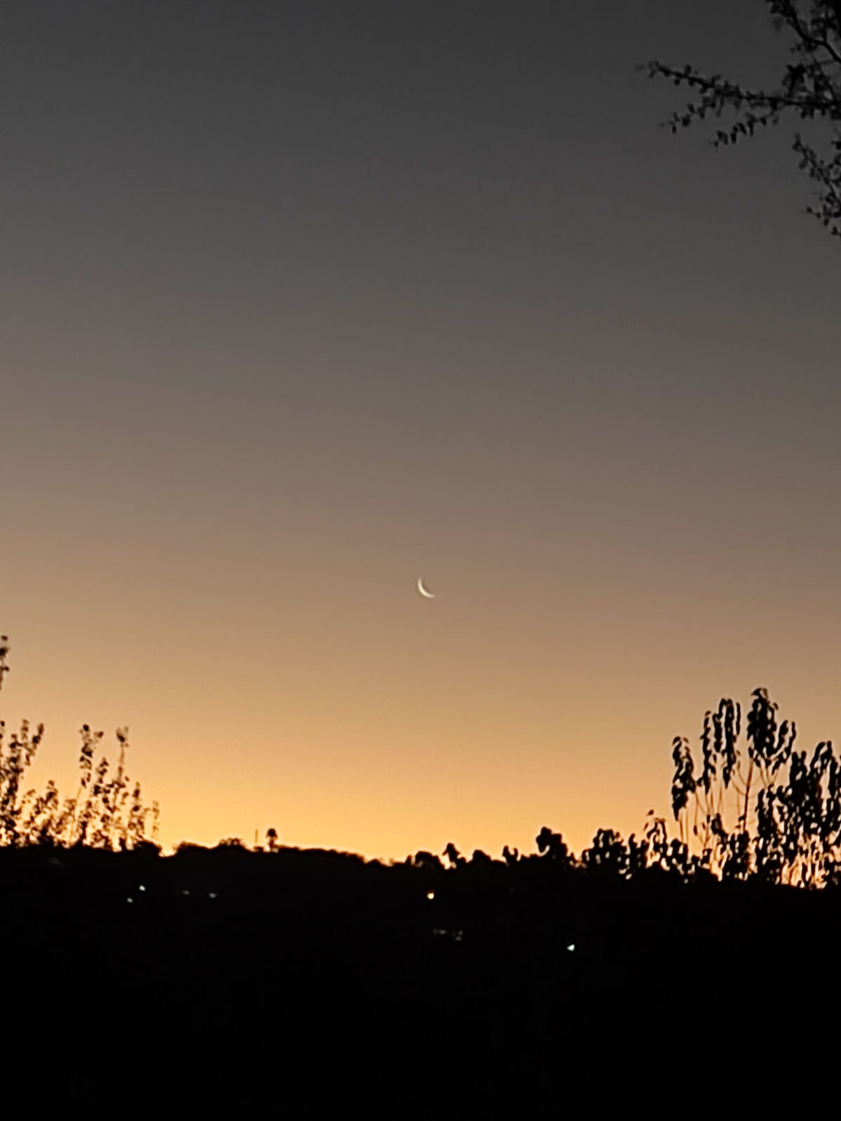 О полете мысли