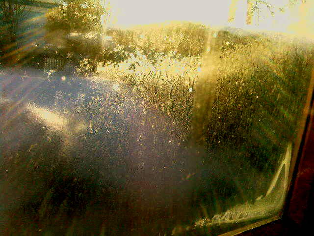 Природы гениальность