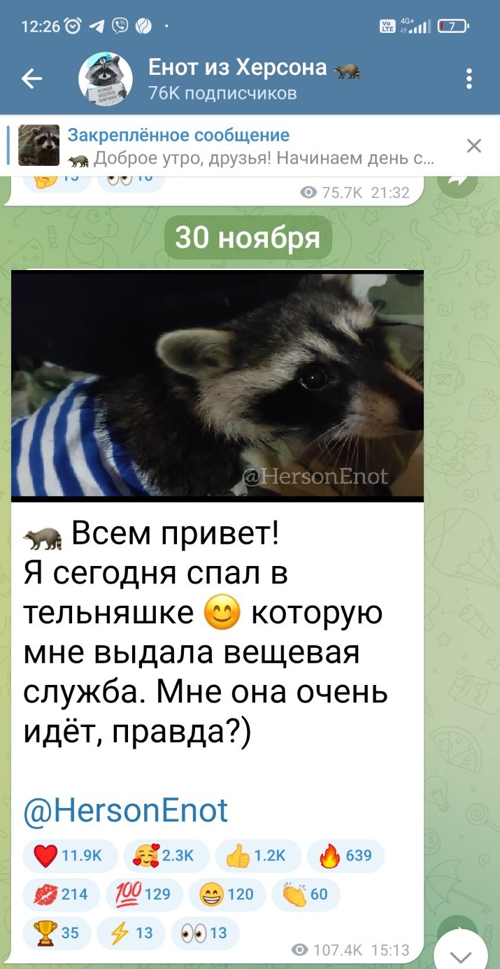 Позывной Херси