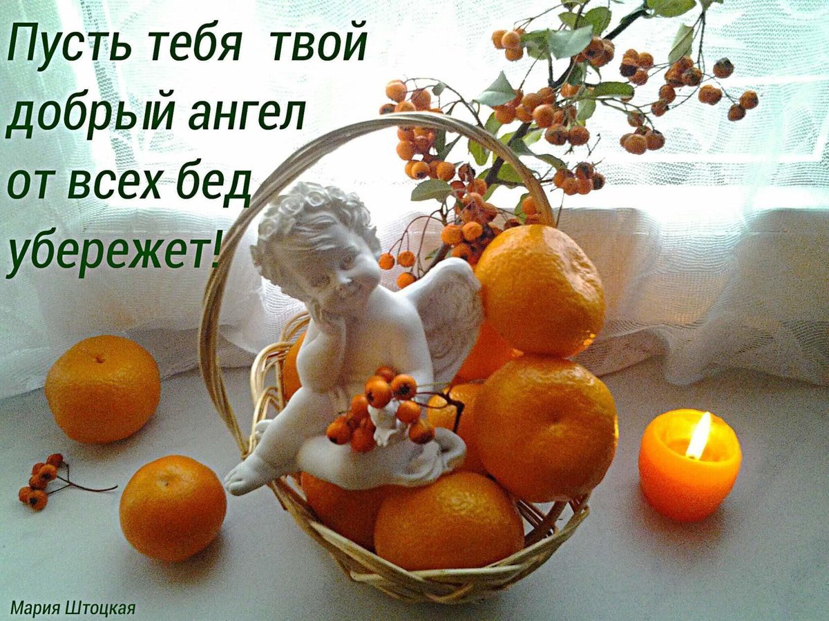 Чтоб не жил ты под шалью тревог