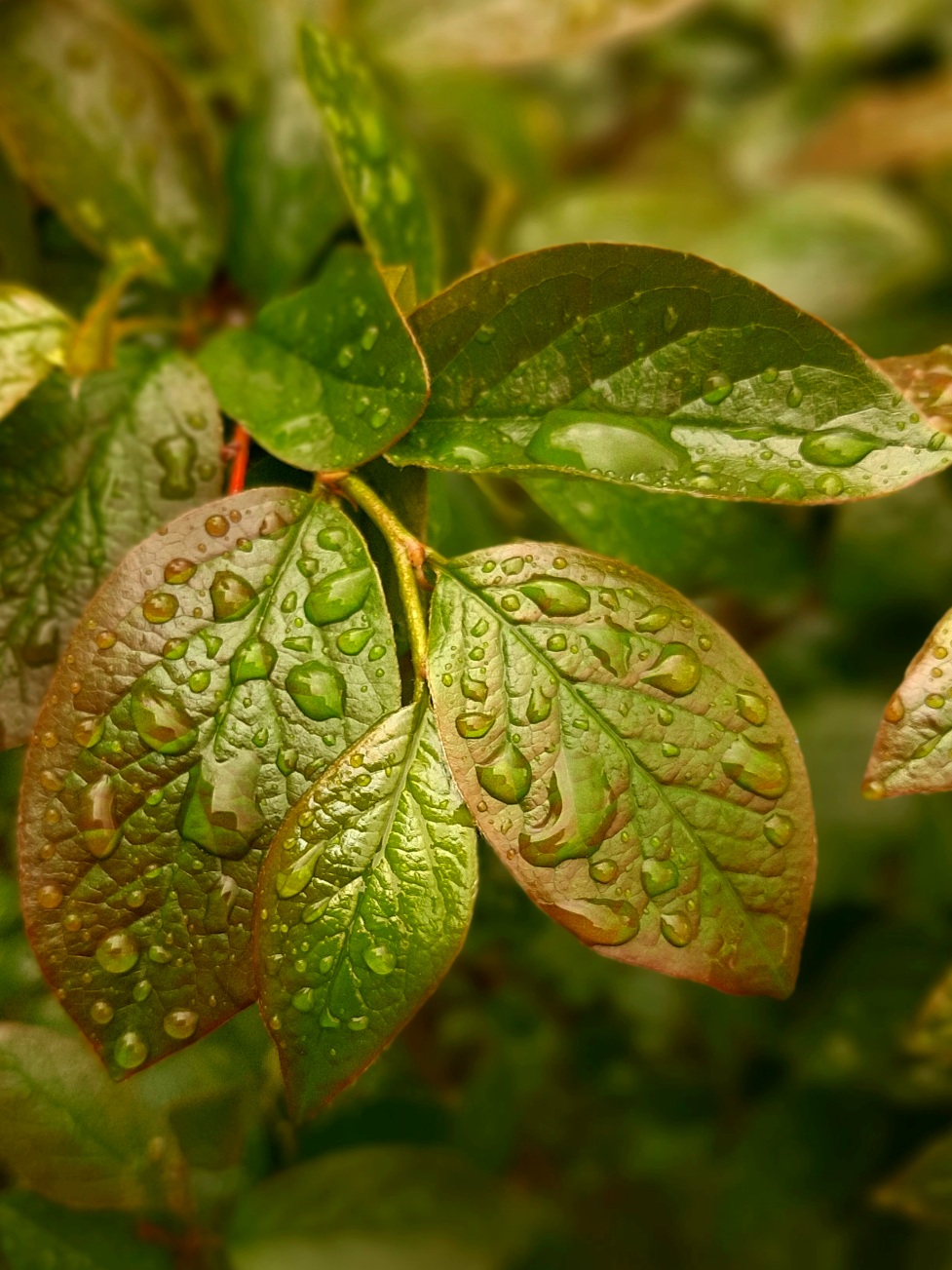 Хмурое утро скуку навеяло