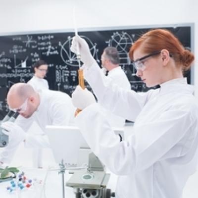 Исследование