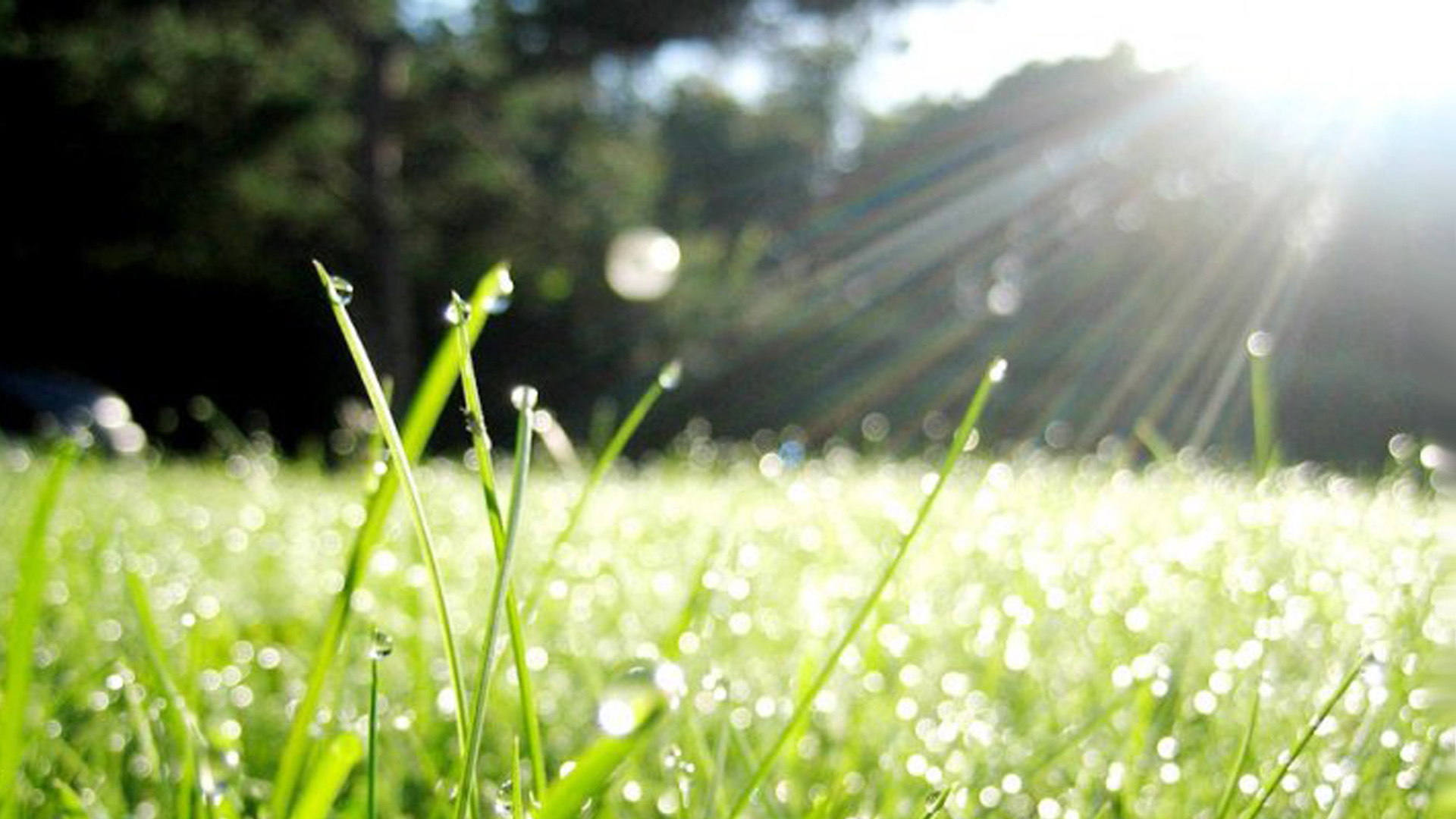 Небо глазками моргает