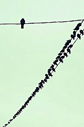 Песенка о мусоре