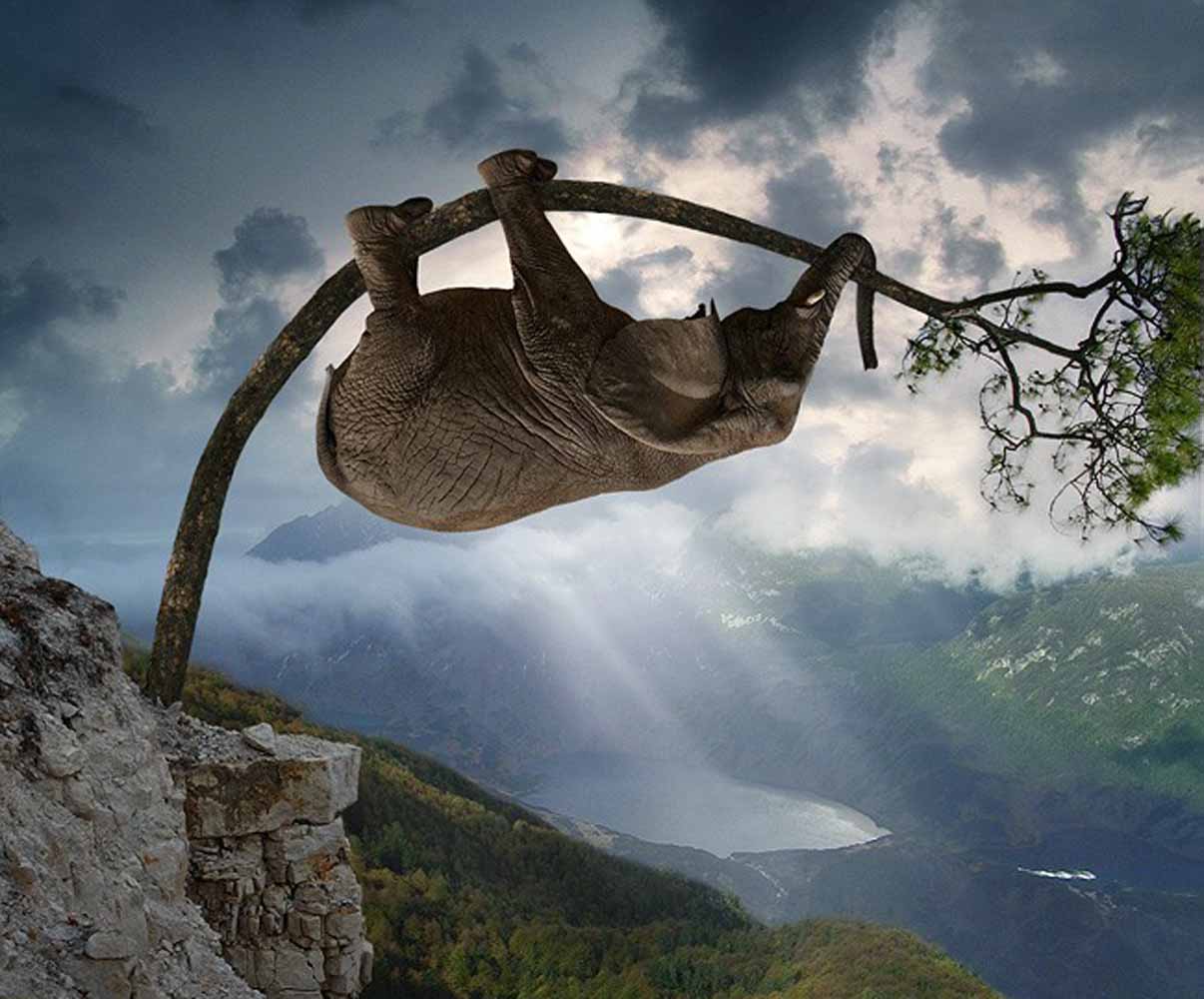 Не в коня овёс