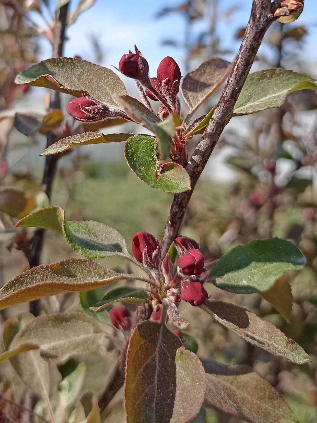 В преддверии дня Победы