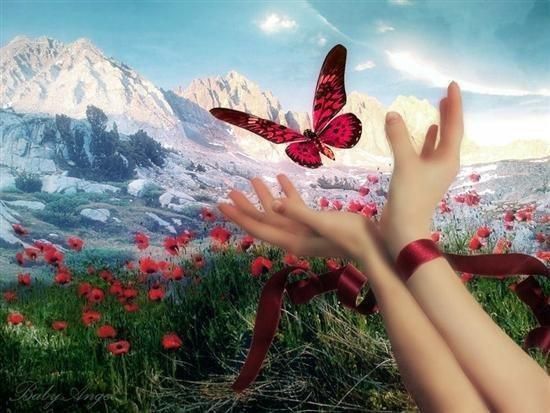 Что самое красиво?