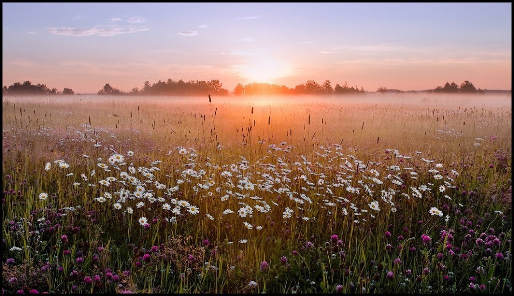И ею наслаждается душа