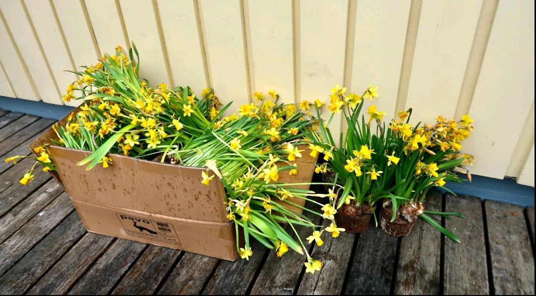 Глазам прохожих маленький сюрприз