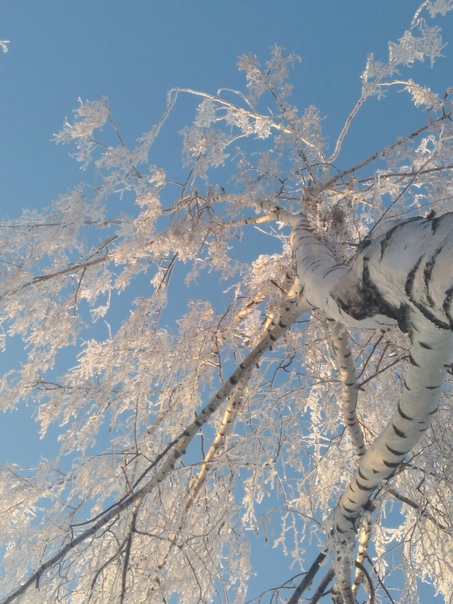 Мы позабудем имена