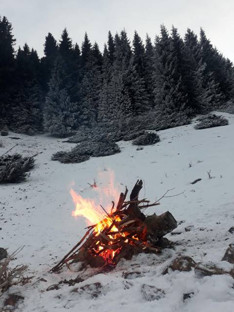 Рождественский поход