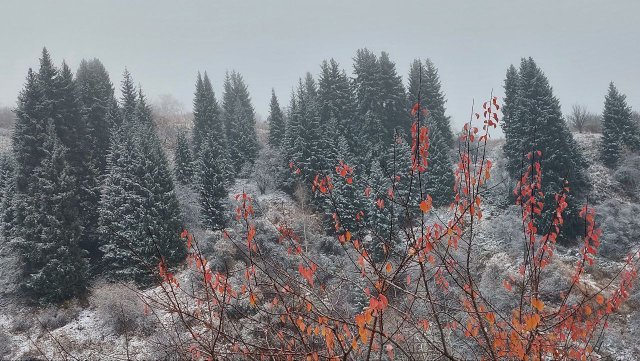 Мученице Агафье Панормской