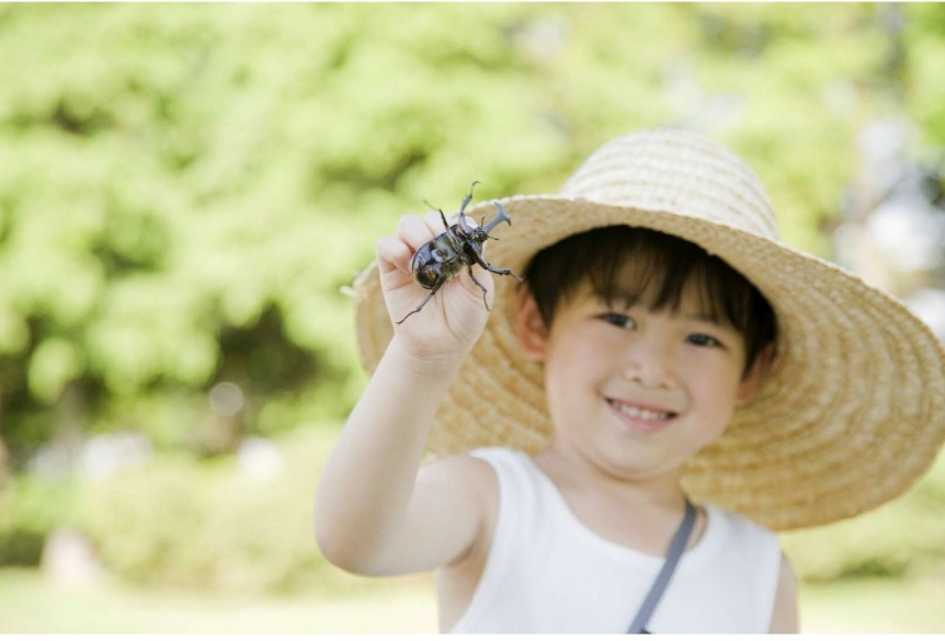 Сэр Аэростатов