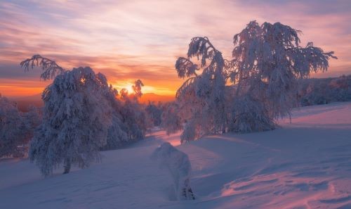 В холодный зимний выходной