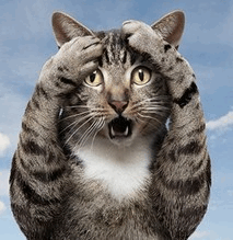 Схватился, было, я за ум