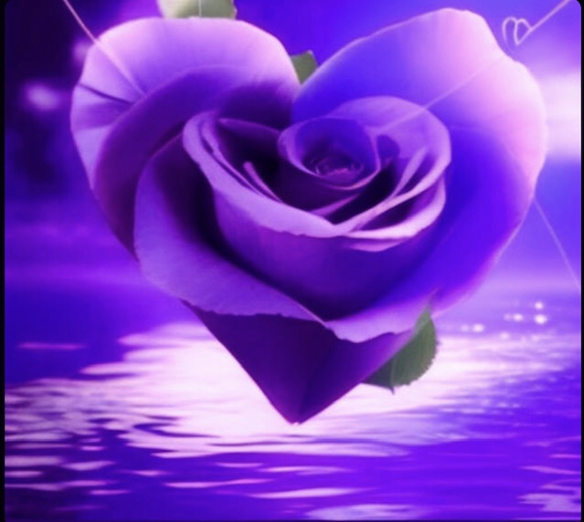 Сокрытая звезда