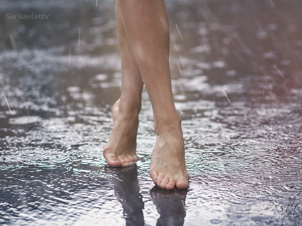 Майский дождь