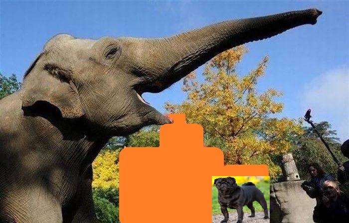 Участник 1. Игра Воображения - 246