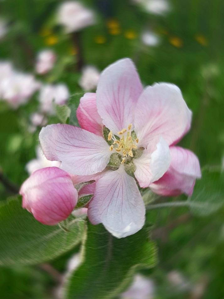 В гости к нам собирается Лето