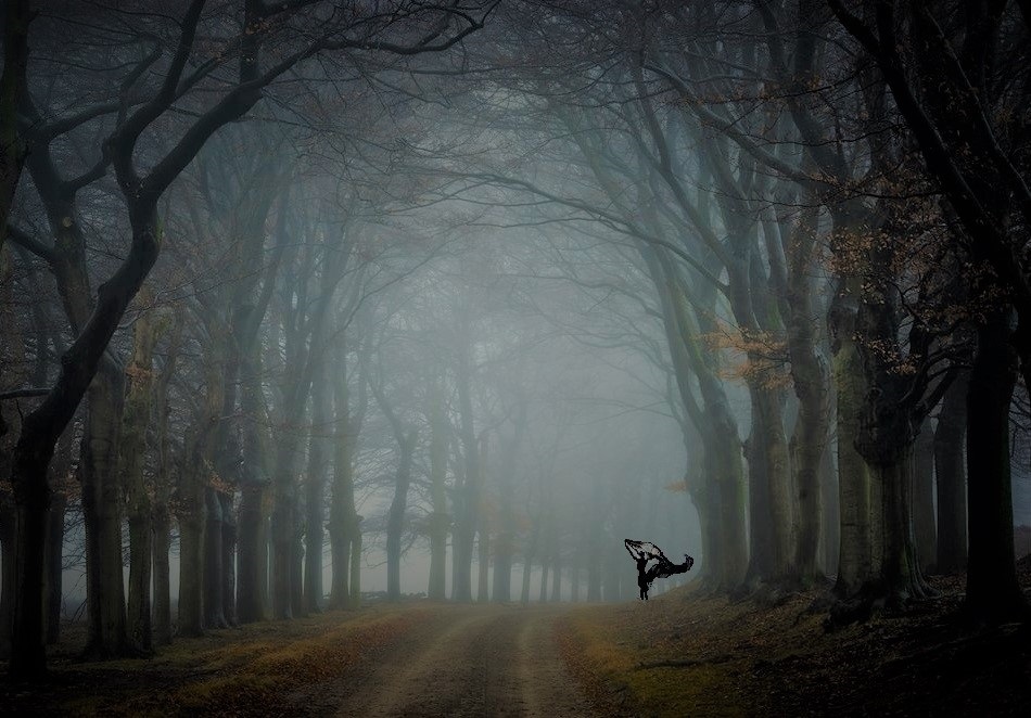 Туманная вуаль