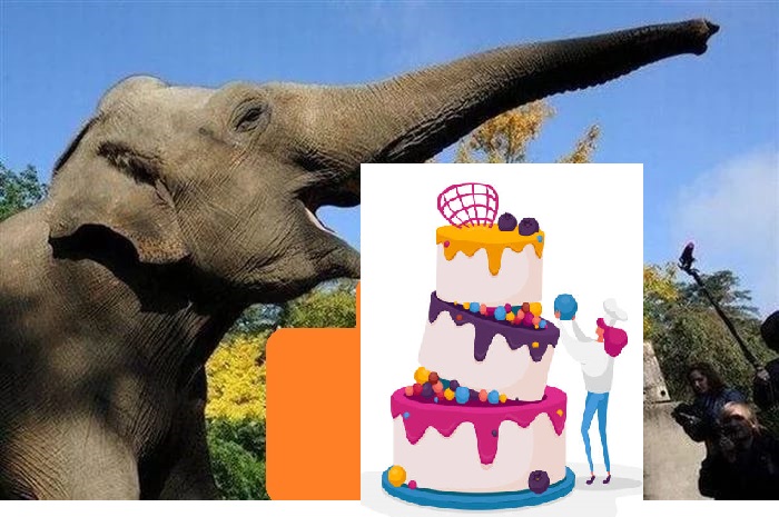 Участник 4. Игра Воображения - 246