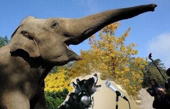 Участник 5. Игра Воображения - 246