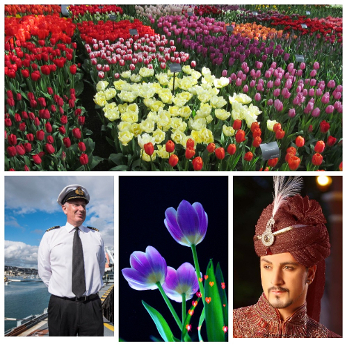 День Тюльпанов. Триолет