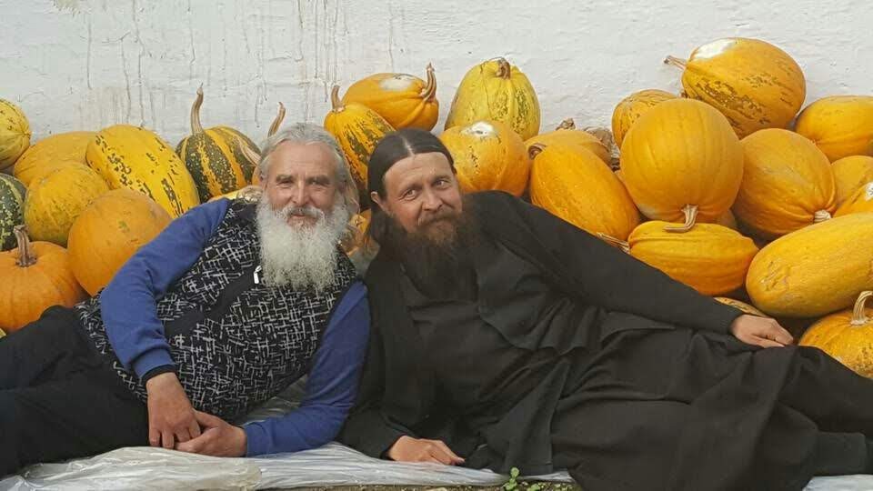 Утоли мои печали