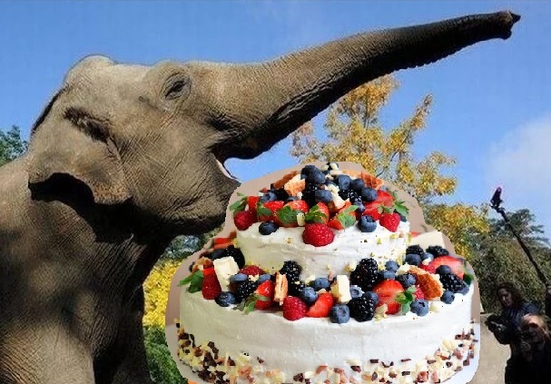 Участник 8. Игра Воображения - 246