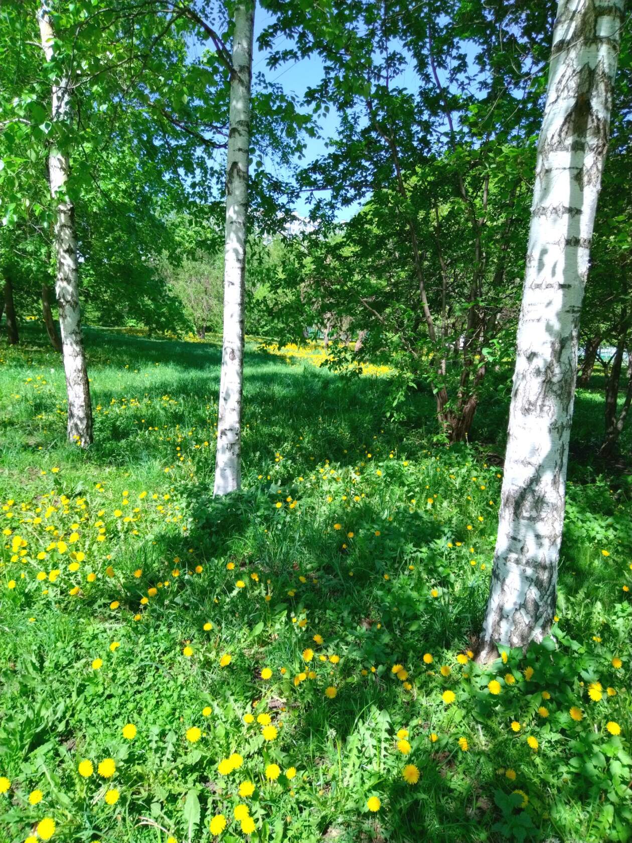 Светлое место Русь