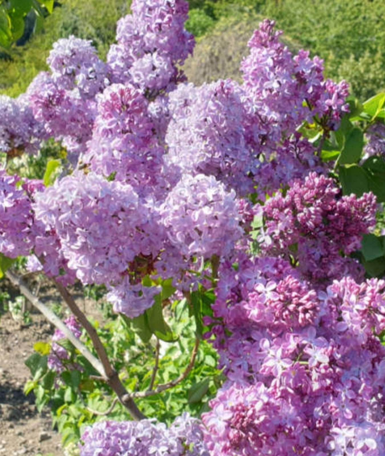 все наши дни...