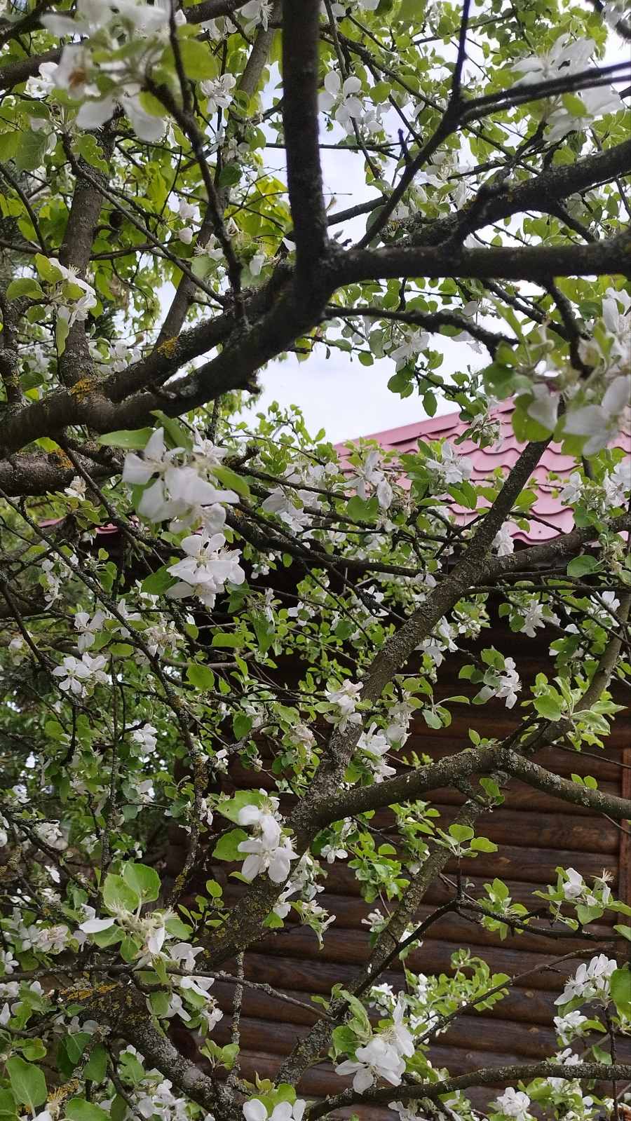 там, где тебя я не делю ни с кем...