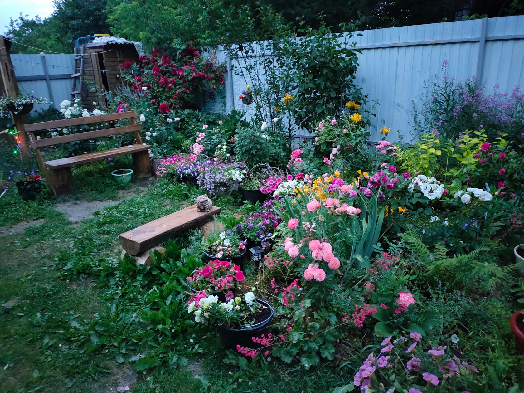 2022 Она. Анна Ромашкина