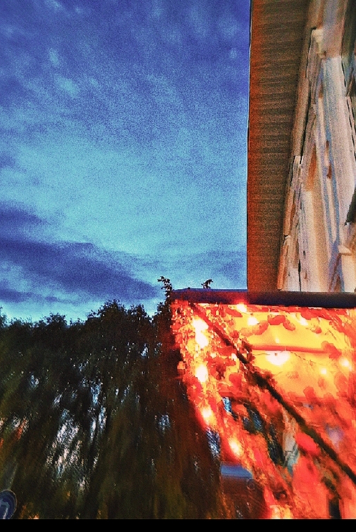 Дьявольски интересен