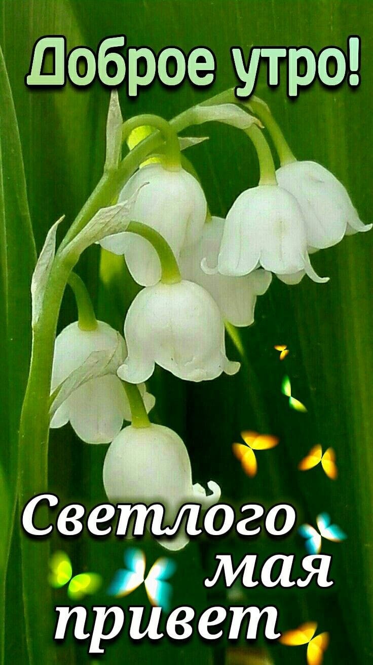 Вдруг судьба или чудо В. Пашкову