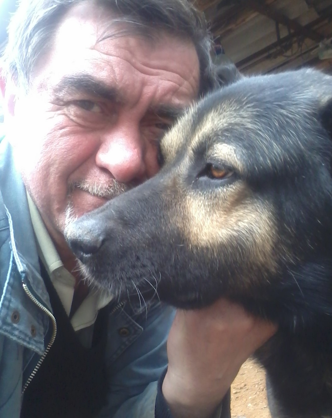 Кого люблю и не люблю