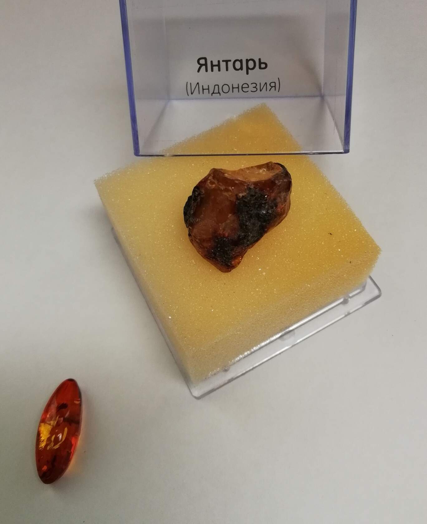57 - На роль скупого с детства не гожусь