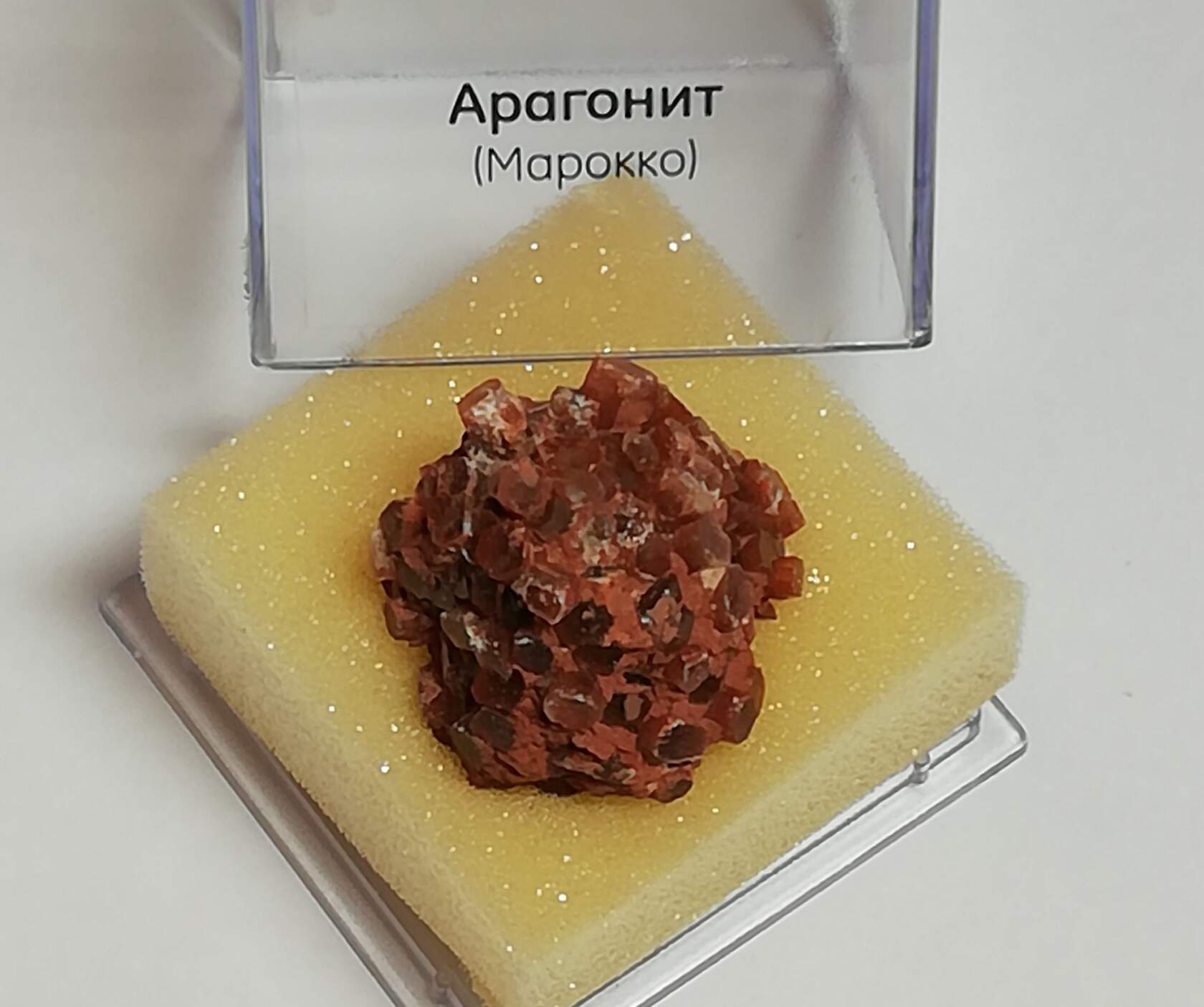 51 - За место распрекрасное под солнцем