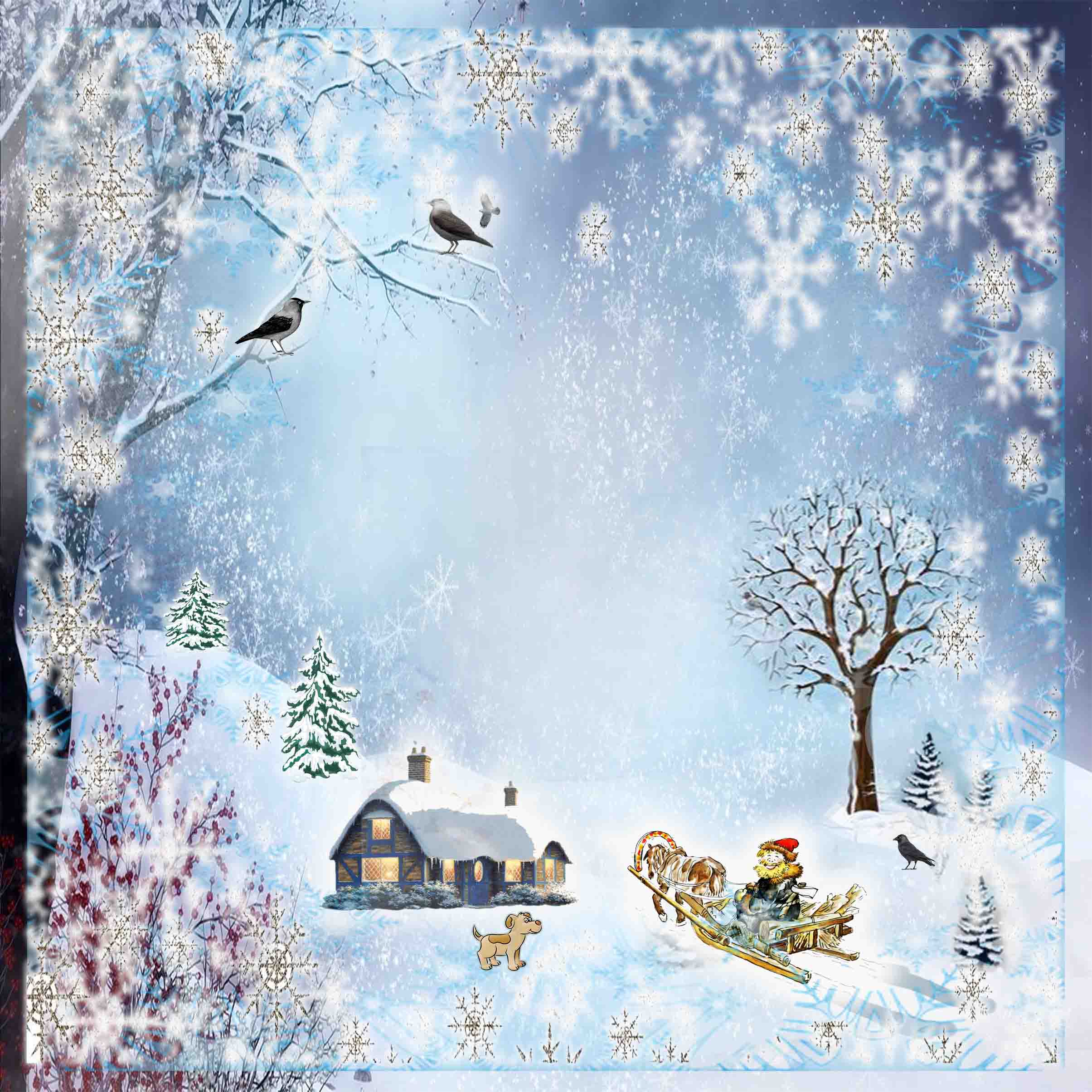 Чёрно-белый ноябрь