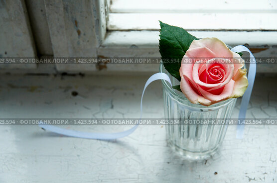 Одинокая роза в гранёном стакане