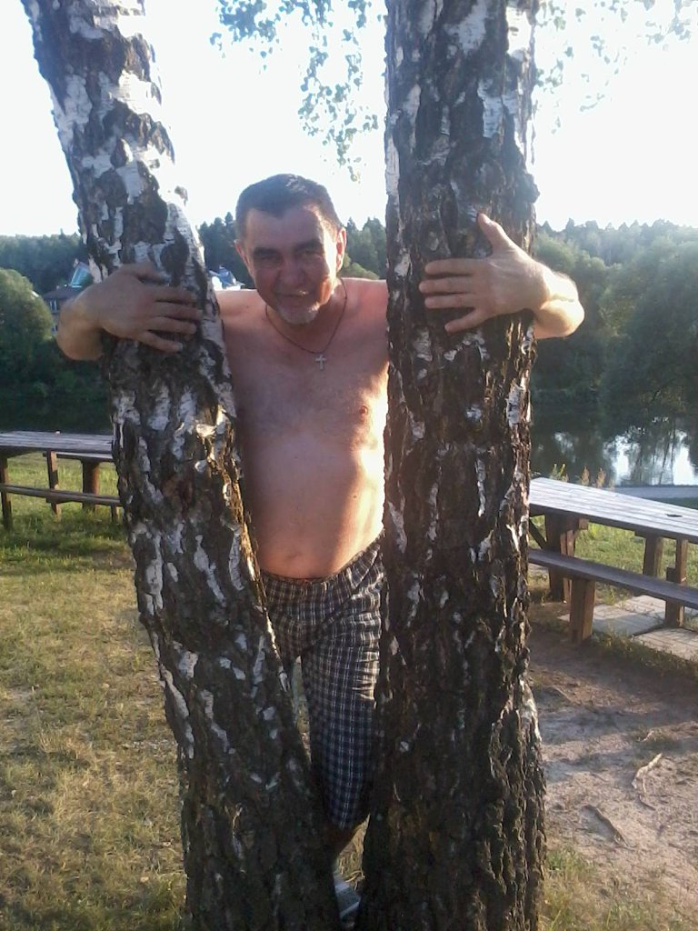 Берёзовая шведская любовь