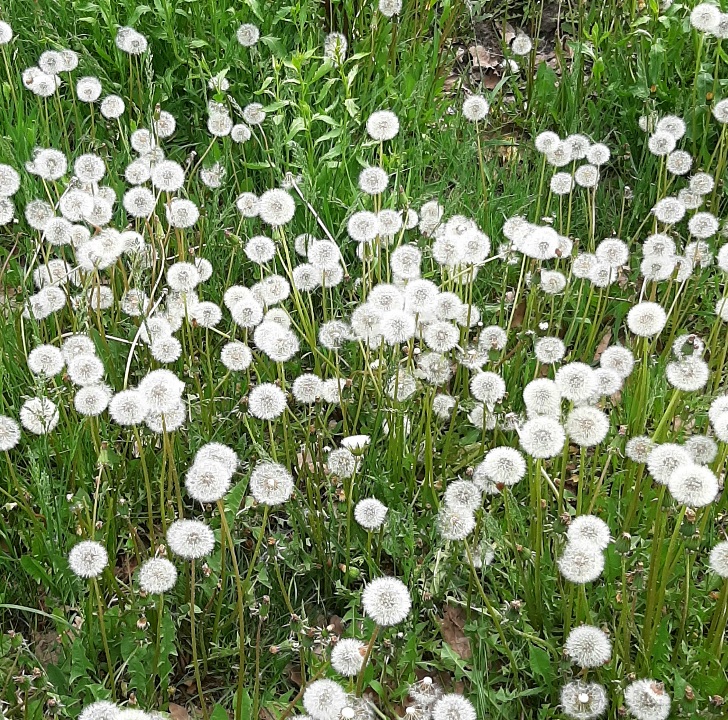 Снег вдруг выпал ниоткуда
