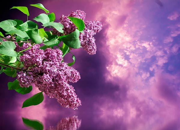 Догорает вечер...