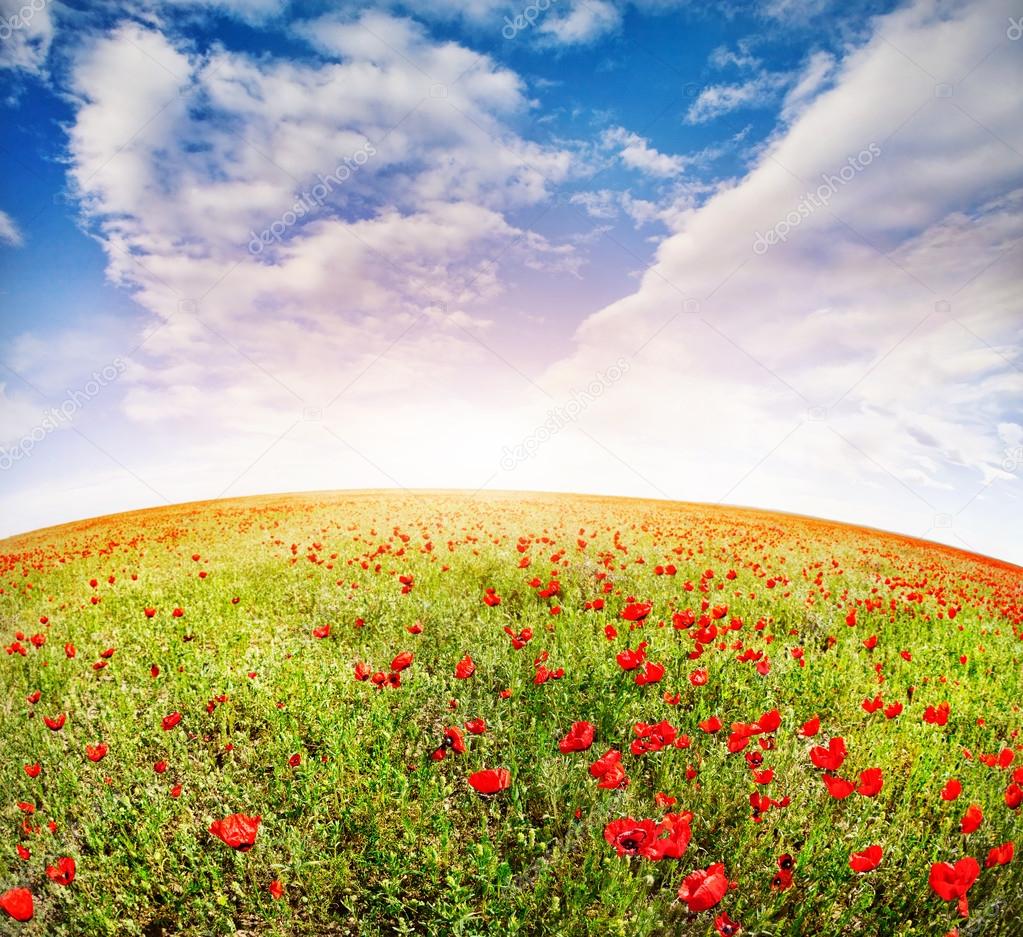 Родимый край!