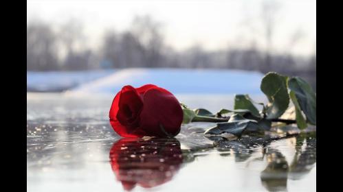 Мне некого винить