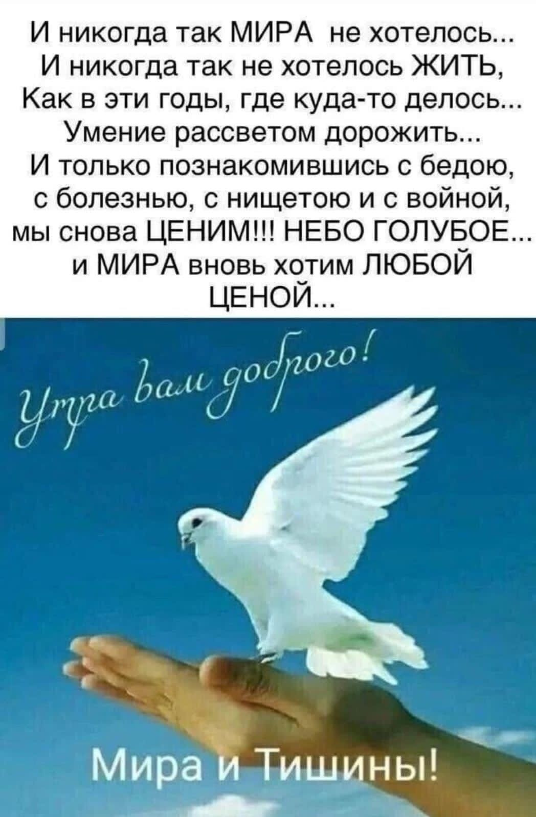 Пожелания мира и добра на земле без войны картинки
