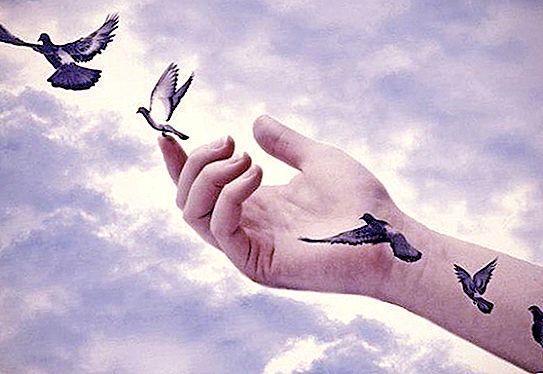 Годы птицами...